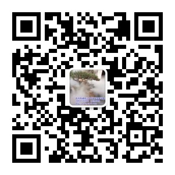 扫描关注网站建设微信公众账号